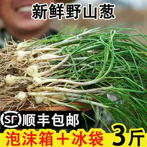 野葱花 新人首单立减十元 22年4月 淘宝海外