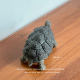 Bored, raise a small turtle that only prolongs life, a handmade ornament gift for turtle raw ornament purple clay tea pet