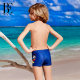 BE van der Ann jointly-branded children's boxer swim trunks sun protection, skin-friendly elastic chlorine-resistant quick-drying breathable boy swimming new style
