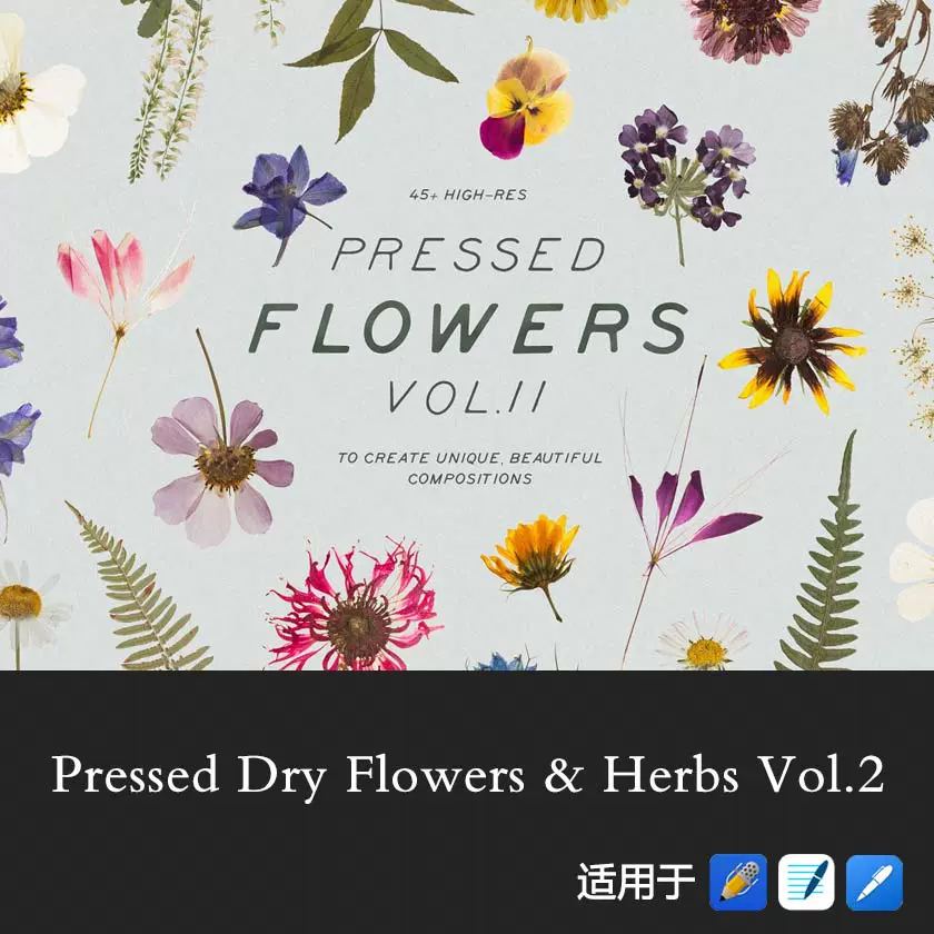 Ipad電子手賬模板goodnotes貼紙乾燥花草藥壓花集2真實拍攝