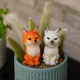 Nine -tailed fox multi -meat flower bonsai decorative ornaments outdoor micro -landscape monkey tail column landscape white fox tail
