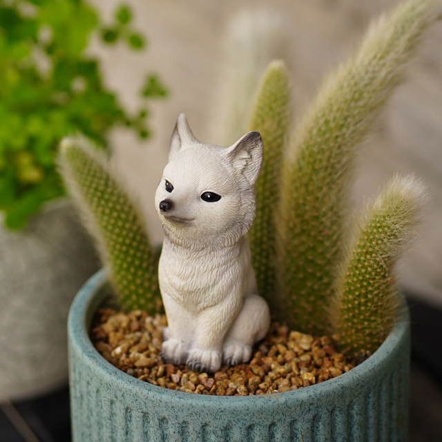 Nine -tailed fox multi -meat flower bonsai decorative ornaments outdoor micro -landscape monkey tail column landscape white fox tail
