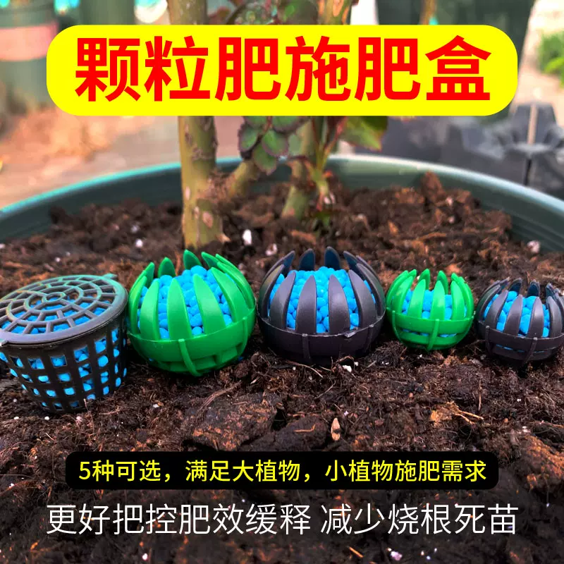 玉肥盒盆景肥料盒兰花盆栽施肥盒植物玉肥盒子颗粒缓