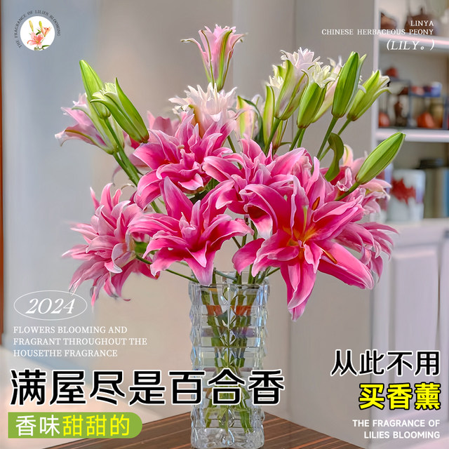 Perfume lily flowers Yunnan base direct hair hydroponic multi -head fresh -cut flower bundle flower insert bottle multiplier flowers
