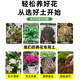 Nutritional soil, flower cultivation, general purpose flower cultivation, general purpose flower cultivation, household potted flower plant plant cultivation soil