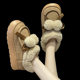 Cotton slippers for women, cute fur balls for outdoor wear in winter, indoor home, thickened plush, warm, non-slip, high-top heel cotton shoes