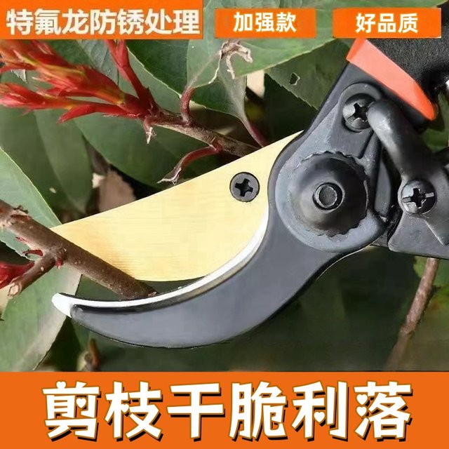 New craft steel SK5 pruning shears, labor-saving household fruit tree gardening thick branch shears, grafting floral gardening shears, tools