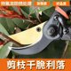 New craft steel SK5 pruning shears, labor-saving household fruit tree gardening thick branch shears, grafting floral gardening shears, tools