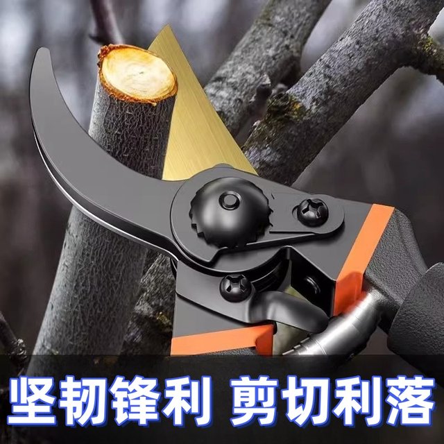New craft steel SK5 pruning shears, labor-saving household fruit tree gardening thick branch shears, grafting floral gardening shears, tools