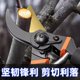 New craft steel SK5 pruning shears, labor-saving household fruit tree gardening thick branch shears, grafting floral gardening shears, tools
