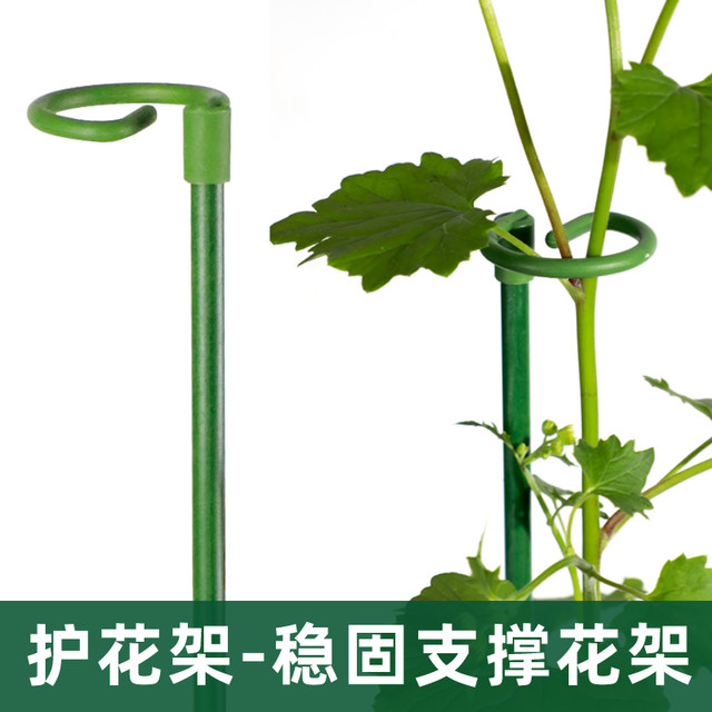 Plant fixed anti-lodging flower stand gardening support single pole outdoor garden rose climbing hydrangea flower support bracket