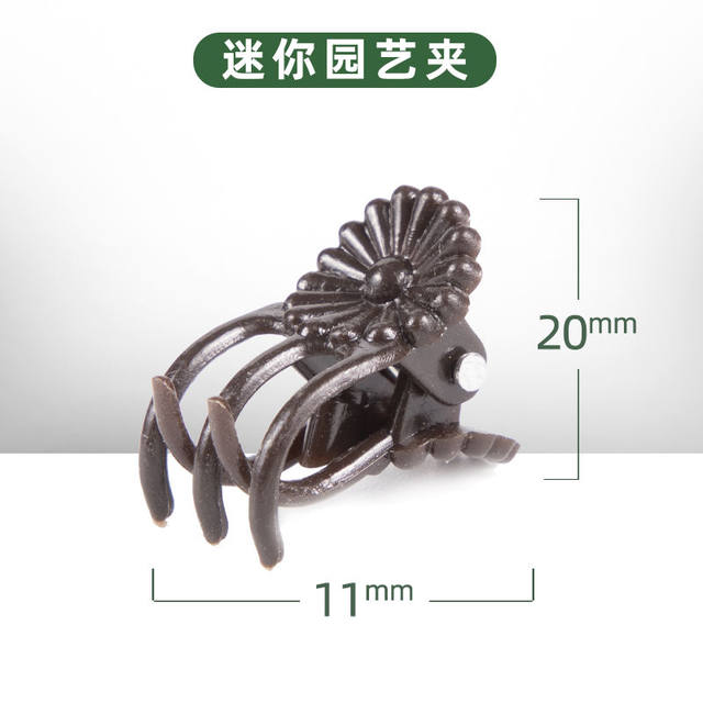 Phalaenopsis bracket support rod shape shelf gardening flower branch clip vine climbing plant fixed clip