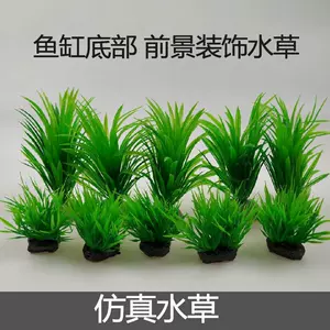 绿前景草 新人首单立减十元 22年3月 淘宝海外 绿前景草 新人首单立减十元 22年3月 淘宝海外