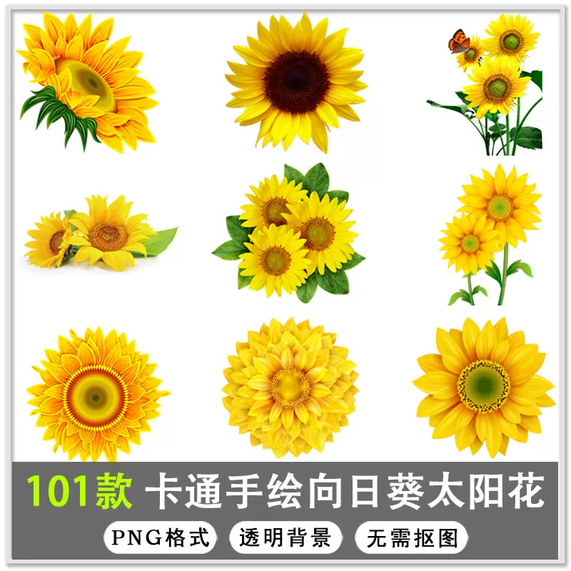 101款卡通手绘向日葵太阳花花朵花卉png免扣设计素材