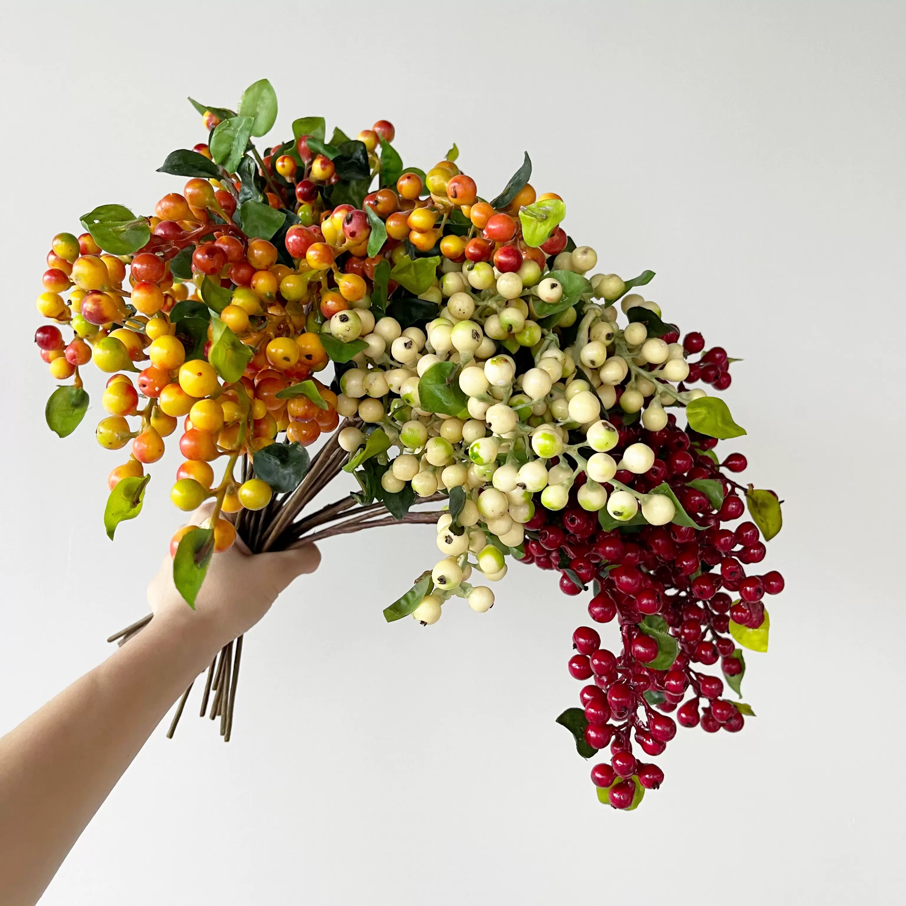 橙色浆果 Top 60件橙色浆果 22年12月更新 Taobao