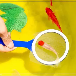 撈金魚紙網 新人首單立減十元 22年10月 淘寶海外