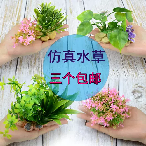 小型水草生态草缸圆 新人首单立减十元 22年2月 淘宝海外