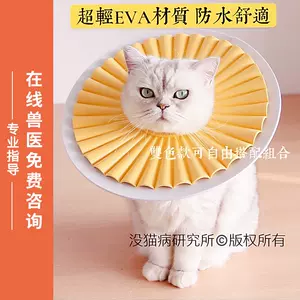 猫防咬圈可爱 新人首单立减十元 22年9月 淘宝海外