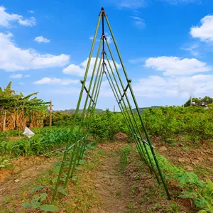 瓜棚架爬藤架 新人首单立减十元 22年4月 淘宝海外