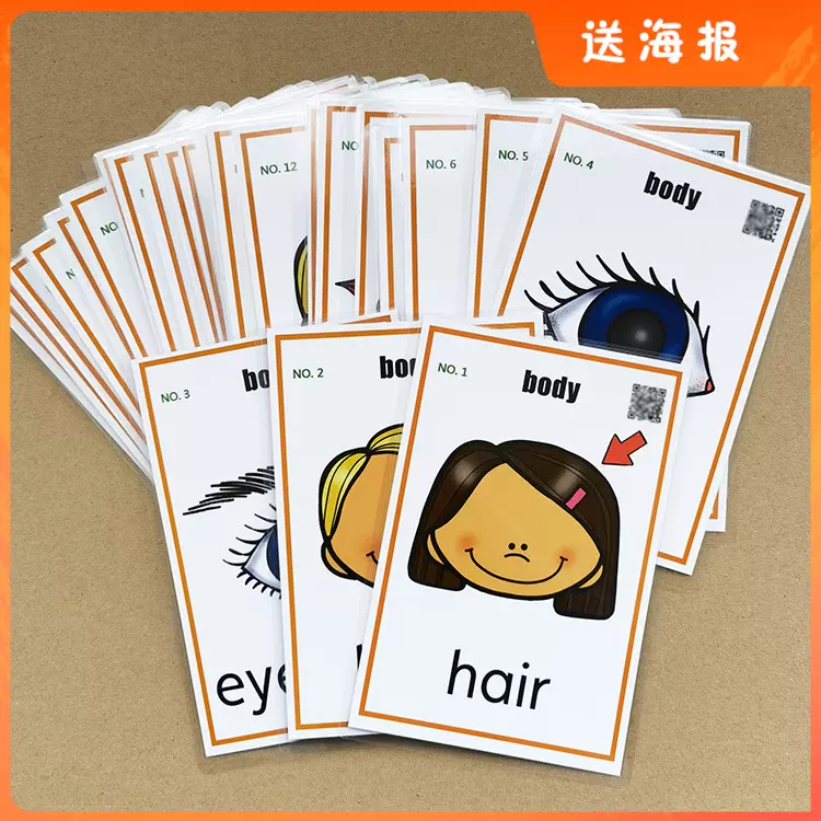 身体部位英语单词闪卡28张英文塑封卡片宝宝早教启蒙教师墙