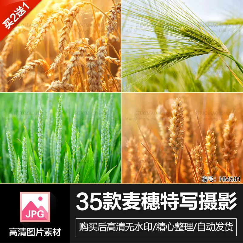 丰收图素材 新人首单立减十元 2021年11月 淘宝海外