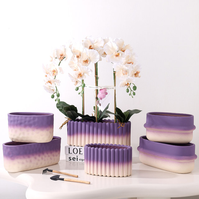 Dopamine-burning Phalaenopsis flower pot ceramic New Year's flower office with holes and oblong single plant group pot