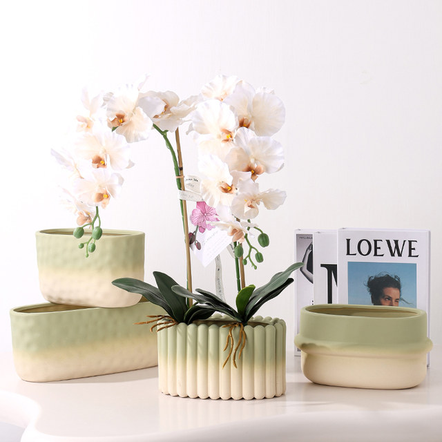 Dopamine-burning Phalaenopsis flower pot ceramic New Year's flower office with holes and oblong single plant group pot