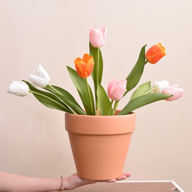 Red pottery pot with a tray with a tray multi -meat international basin minimalist and rough ceramics, the circular air -breathable pottery basin living room balcony mud tile pot
