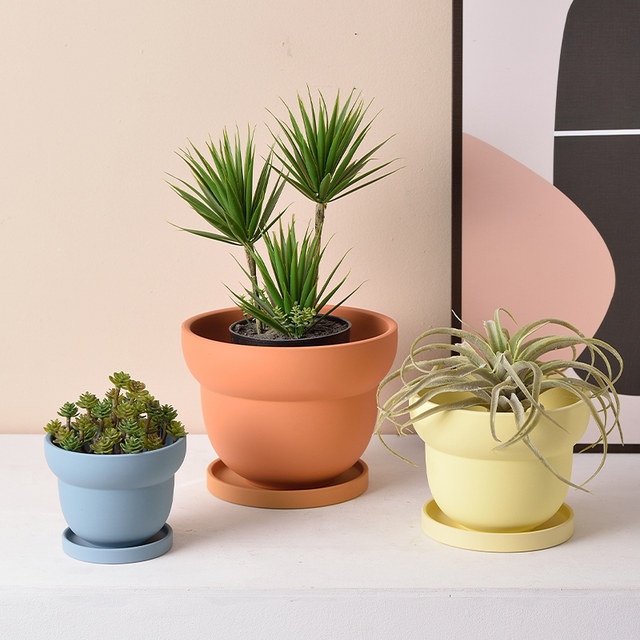 Nordic flower basin INS style new models of simple retro style colorful poly -meat potted green plant cactus abstract indoor circle
