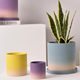 Gradient olive green ceramic plain-fired flower pot with holes and tray, water-absorbent and breathable green plant, tiger orchid, dopamine color