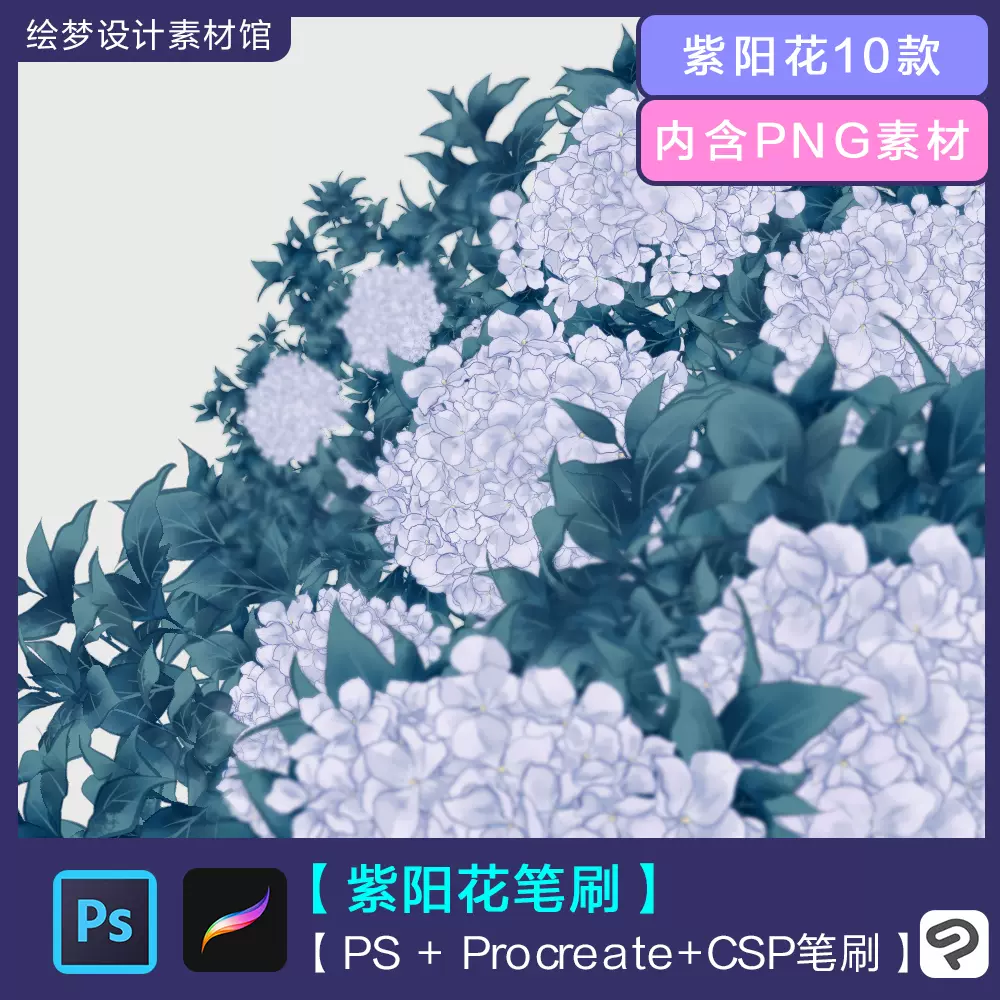 紫陽花 繡球花ps Procreate Csp筆刷插畫漫畫素材繪圖可商用