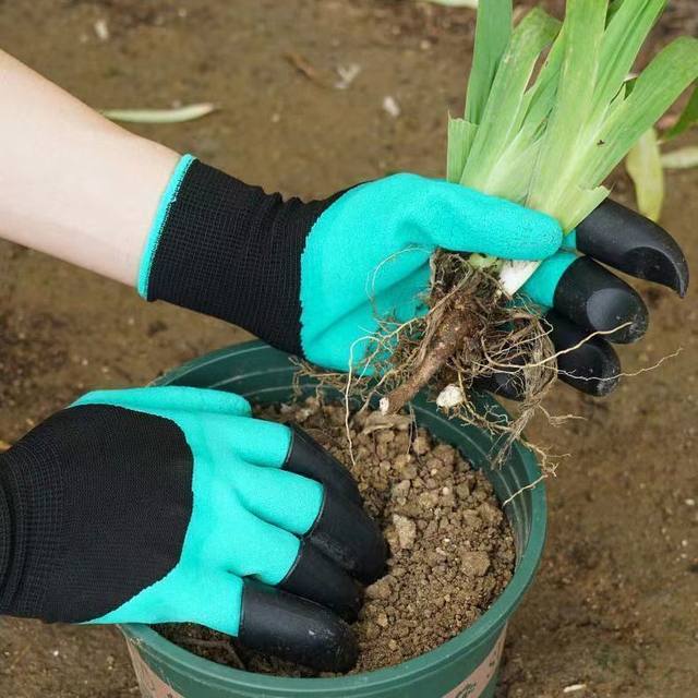 Gardening gloves are puncture-resistant and waterproof with claws, wear-resistant, weed-pulling and digging, special for gardening, flower and vegetable protection, right-hand work