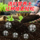 Nutrient soil for household flowers and vegetables, special soil for potted plants, general planting soil, gardening soil, flower soil fertilizer