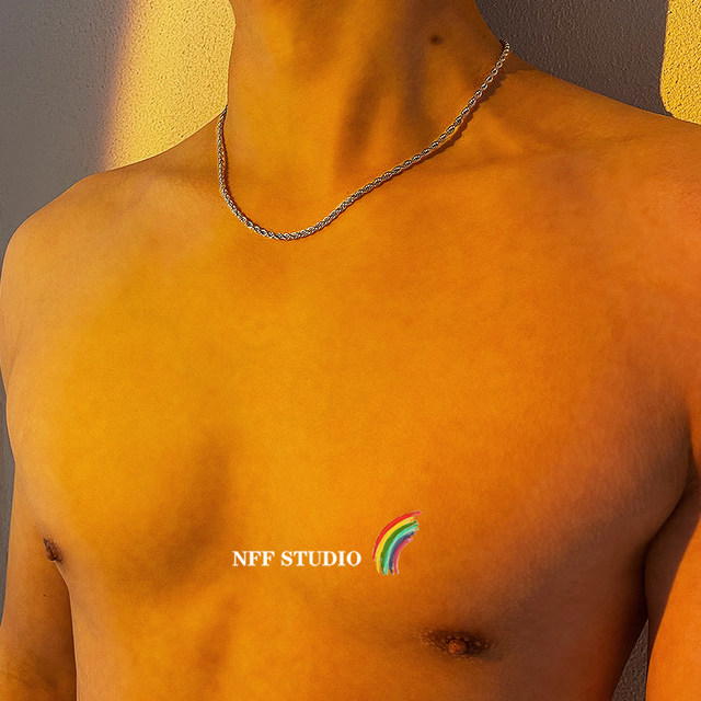 NFF hip-hop light luxury niche titanium steel necklace men ins cold style minimalist European and American street collarbone chain trendy twisted chain