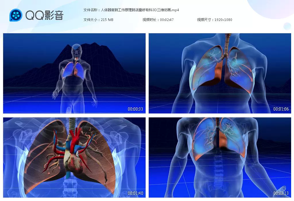 人体器官功能 新人首单立减十元 21年11月 淘宝海外