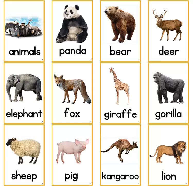 英文動物卡片 新人首單立減十元 21年11月 淘寶海外 英文動物卡片 新人首單立減十元 21年11月 淘寶海外