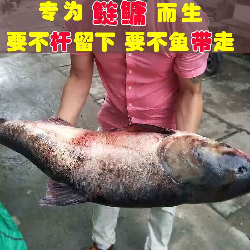 大头鱼饵料花白鲢专用浮钓胖头鱼水库野钓黑坑钓鱼小