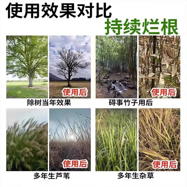 Powerful removal of tree root rot i. Medicine for tree roots. Special agent for killing big trees. Needle for dead tree king powder. i. Trees die with one drop.