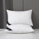 A pair of five -star hotel super soft pillow neck pillow help sleep pillow core home adult feather velvet single pillow