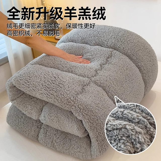 Student dormitory mattress cushion single thickened lamb velvet winter tatami sponge mat mat mattress velvet