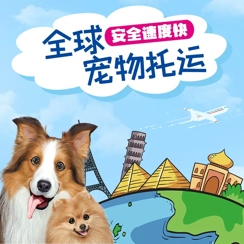 宠物寄送 新人首单立减十元 2021年11月 淘宝海外