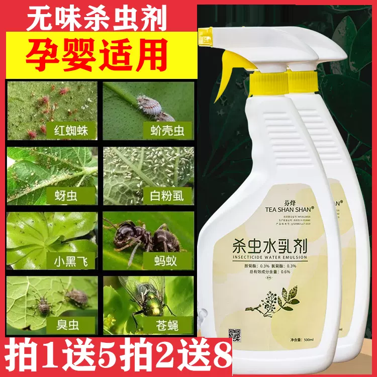 花药小黑飞虫专杀灭花盆里杀虫剂蚜虫喷