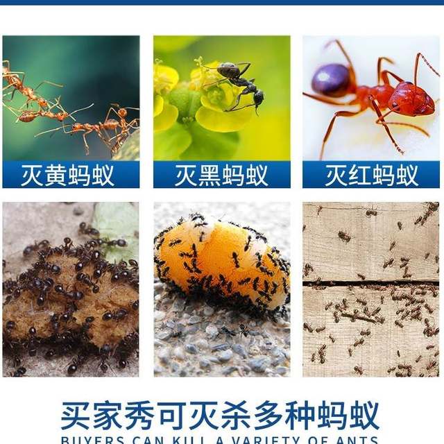 Yu Yijing ant special flower gardening home ant removal ant powder household treatment of red, yellow and black ants