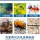 Yu Yijing ant special flower gardening home ant removal ant powder household treatment of red, yellow and black ants