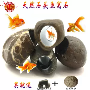 鹅卵石金鱼 新人首单立减十元 22年3月 淘宝海外