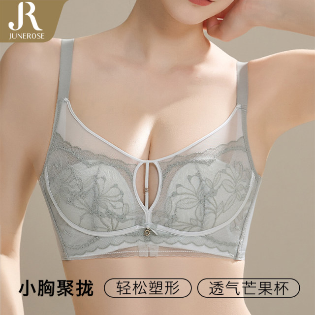 June rose small breasts gathered plastic cross-beautiful breasts lace sexy anti-sag adjustment bra underwear