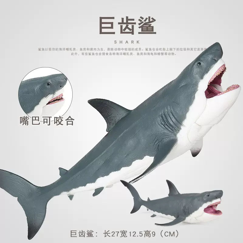 仿真海洋生物动物模型大白鲨玩具巨齿鲨玩具电影同款儿童鲨鱼玩具-Taobao