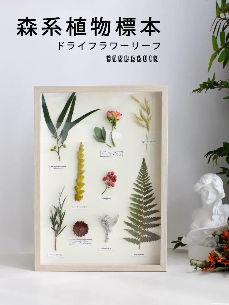 立體植物裝飾畫乾燥花標本掛畫創意禮物節日閨蜜極間北歐 立體植物裝飾畫乾燥花標本掛畫創意禮物節日閨蜜極間北歐
