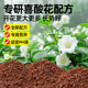 Special acidic red soil for camellia Yunnan nutritional natural planting soil balcony pot planting flower soil gardening flower soil