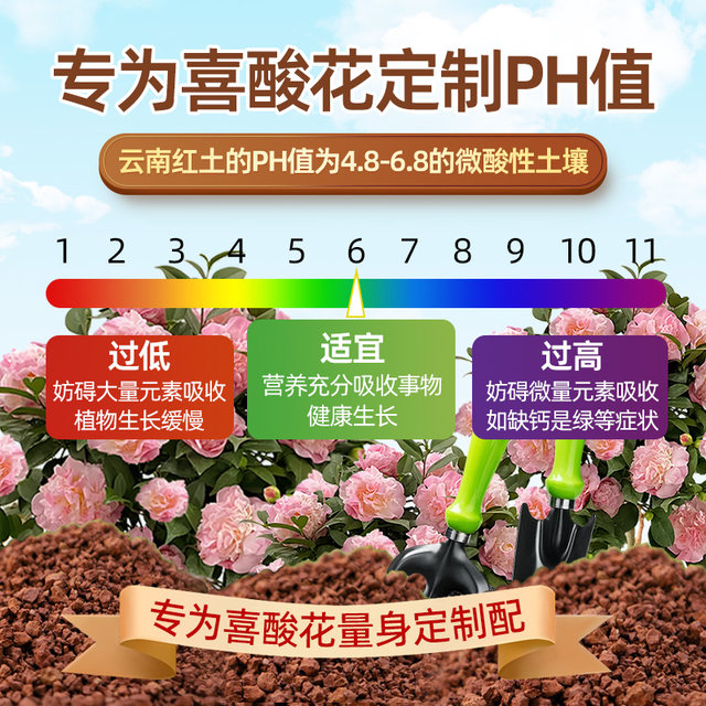 Special acidic red soil for camellia Yunnan nutritional natural planting soil balcony pot planting flower soil gardening flower soil